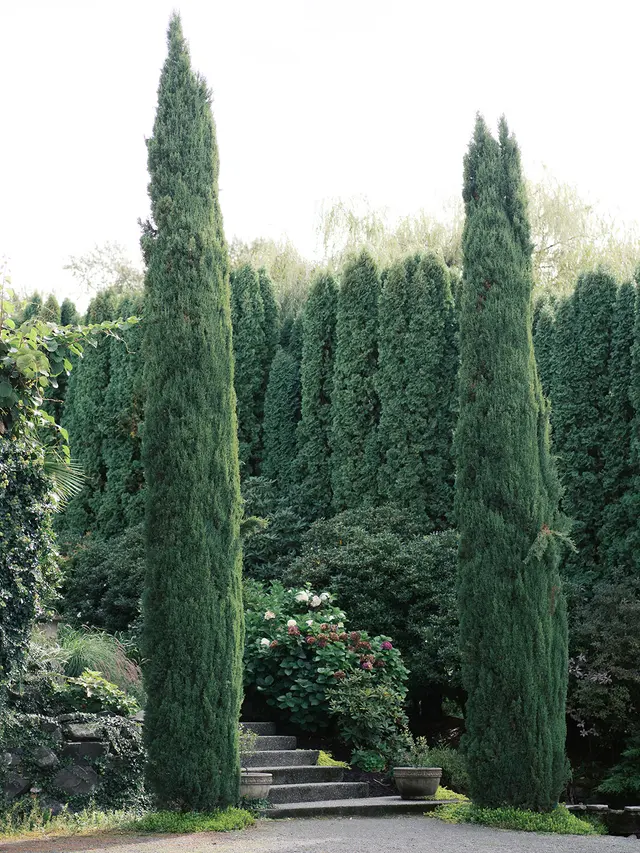Chateau Lill featuring Lill Family Wines — photo from the business 6