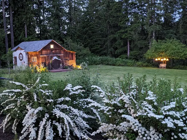 Starlight Meadows — photo from the business 8