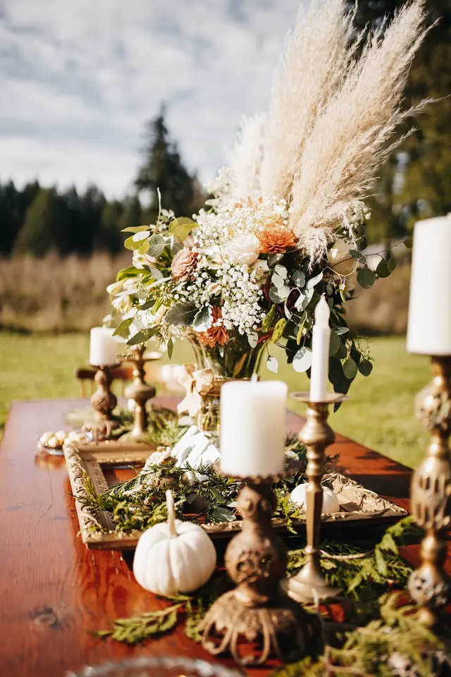 Starlight Meadows — photo from the business 2