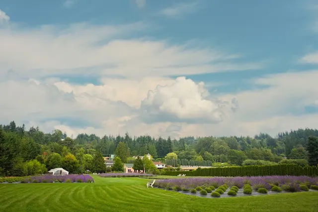 Woodinville Lavender — photo from the business 2