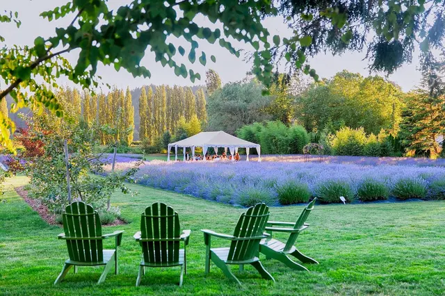 Woodinville Lavender — photo from the business 5