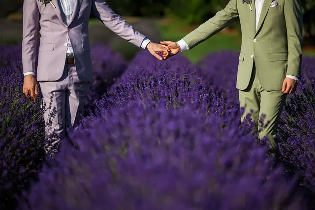 Woodinville Lavender — customer photo 12