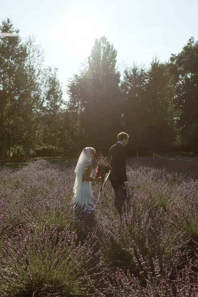 Woodinville Lavender — customer photo 11