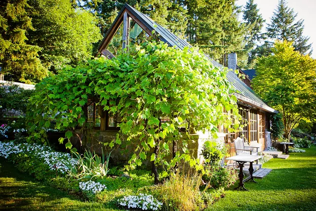 Bella Luna Farms — photo from the business 12