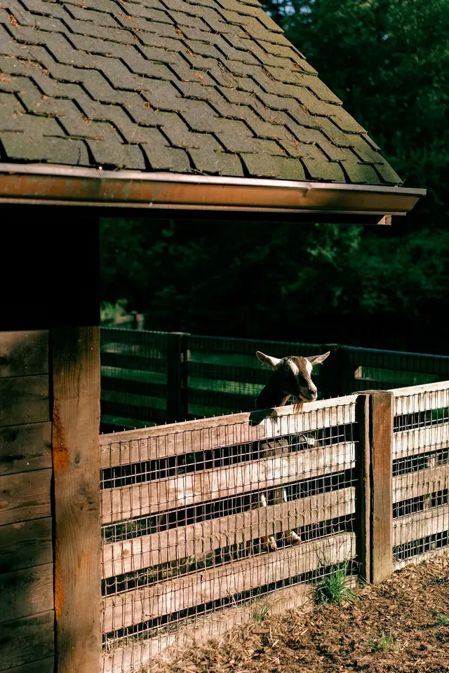 Bella Luna Farms — photo from the business 9