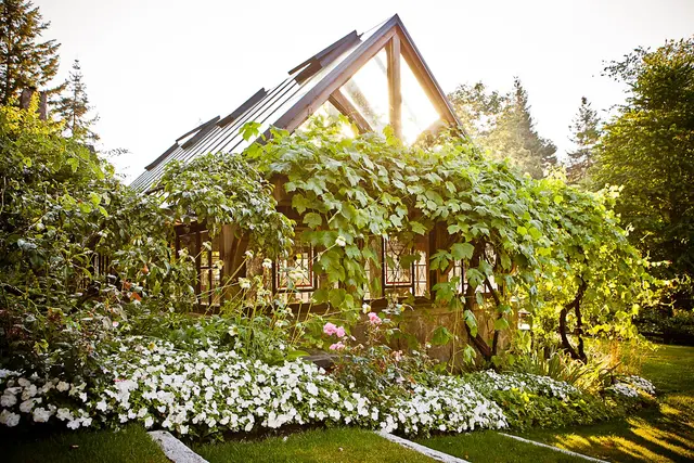 Bella Luna Farms — photo from the business 3