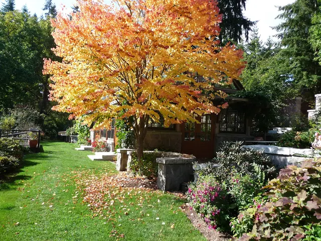 Bella Luna Farms — photo from the business 6