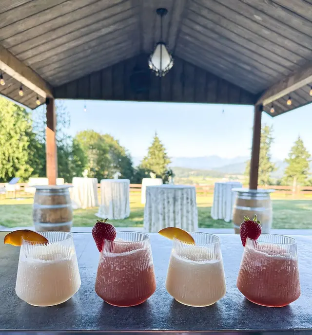 The View Weddings & Events LLC — photo from the business 12