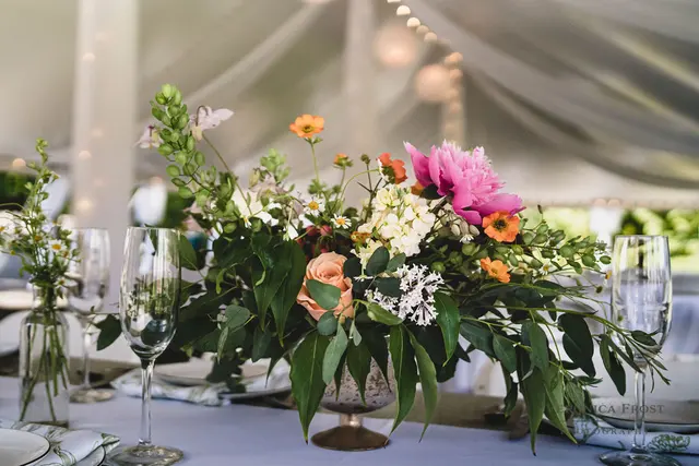 The View Weddings & Events LLC — photo from the business 8