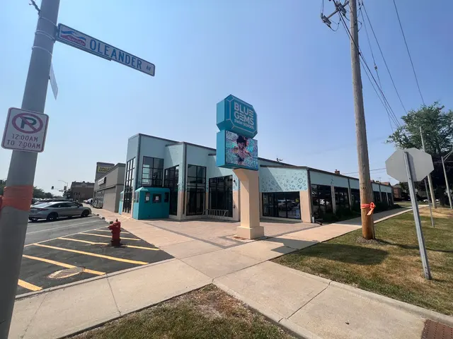 Blue Gems Swim School — photo from the business 4