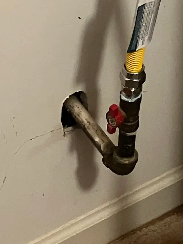 Customer photo from Willis's review