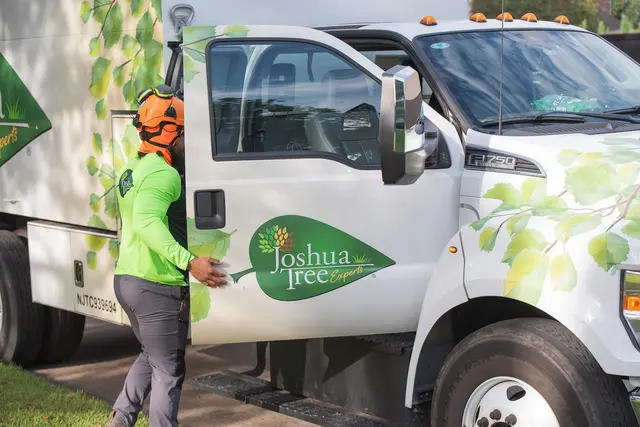 Joshua Tree Experts — photo from the business 2