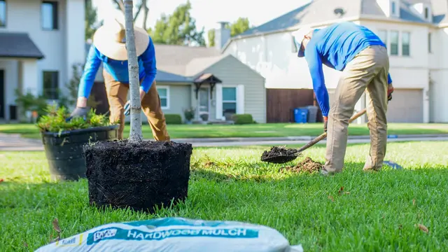 Texas Tree Surgeons — photo from the business 3