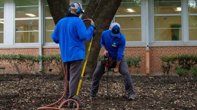 Texas Tree Surgeons — photo from the business 11