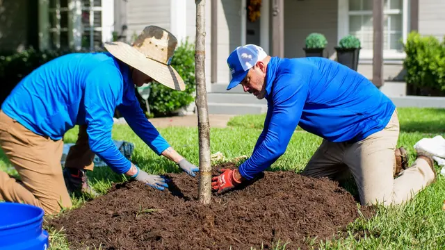 Texas Tree Surgeons — photo from the business 2