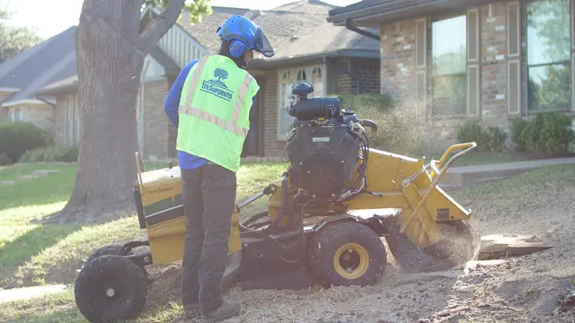 Texas Tree Surgeons — photo from the business 6