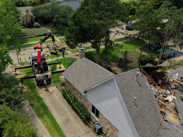 Texas Tree Surgeons — photo from the business 7