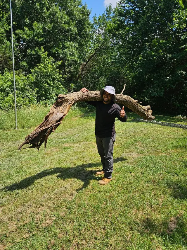 Perfect Trees — customer photo 8