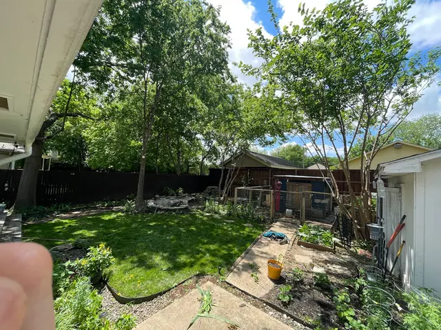 Perfect Trees — customer photo 9