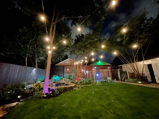 Perfect Trees — customer photo 7