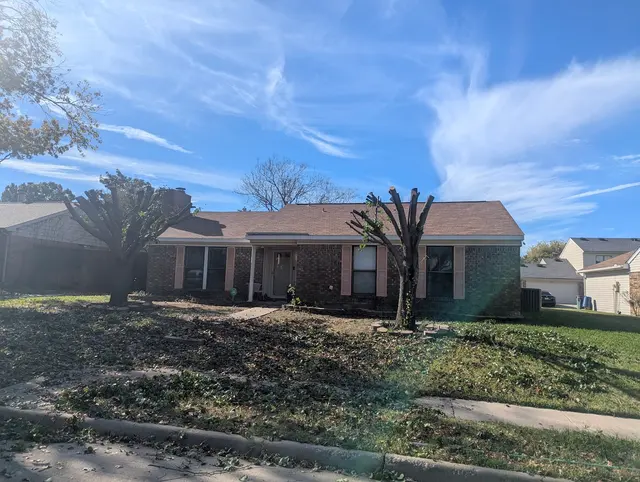 Perfect Trees — customer photo 5
