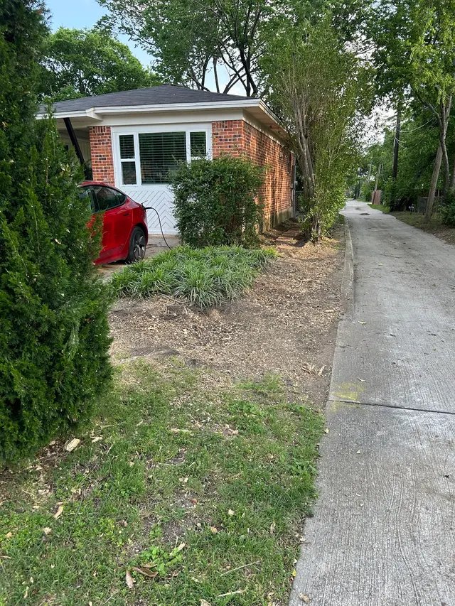Perfect Trees — customer photo 12