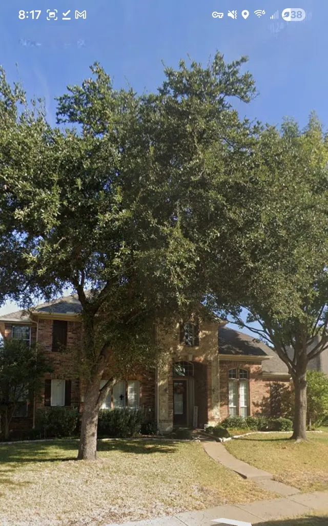 Customer photo of work by Lumberjack Tree Service, from Samantha Tierney's review