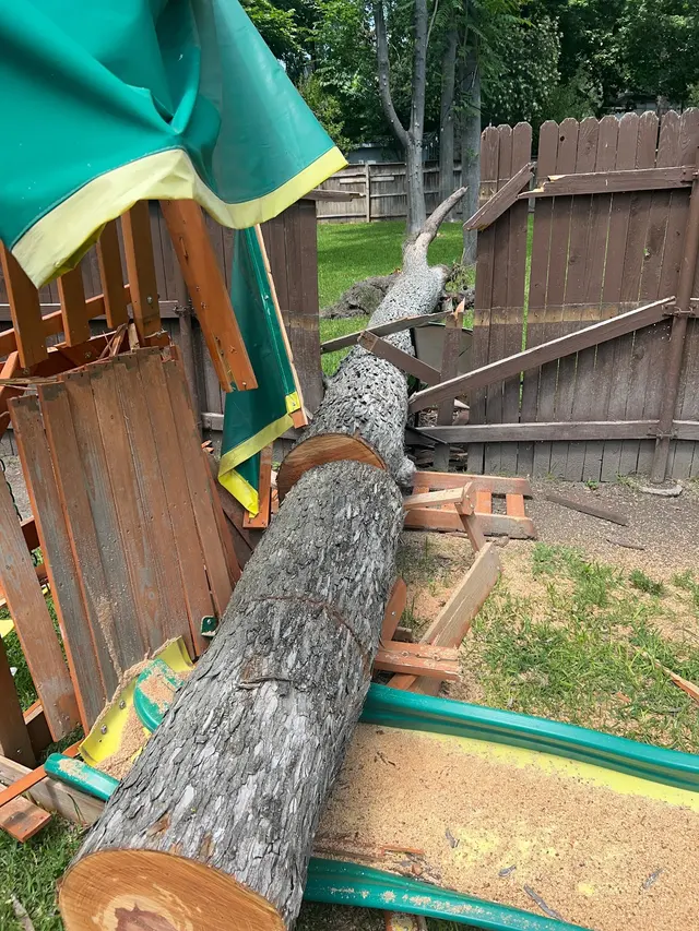 Lumberjack Tree Service — photo from the business 11