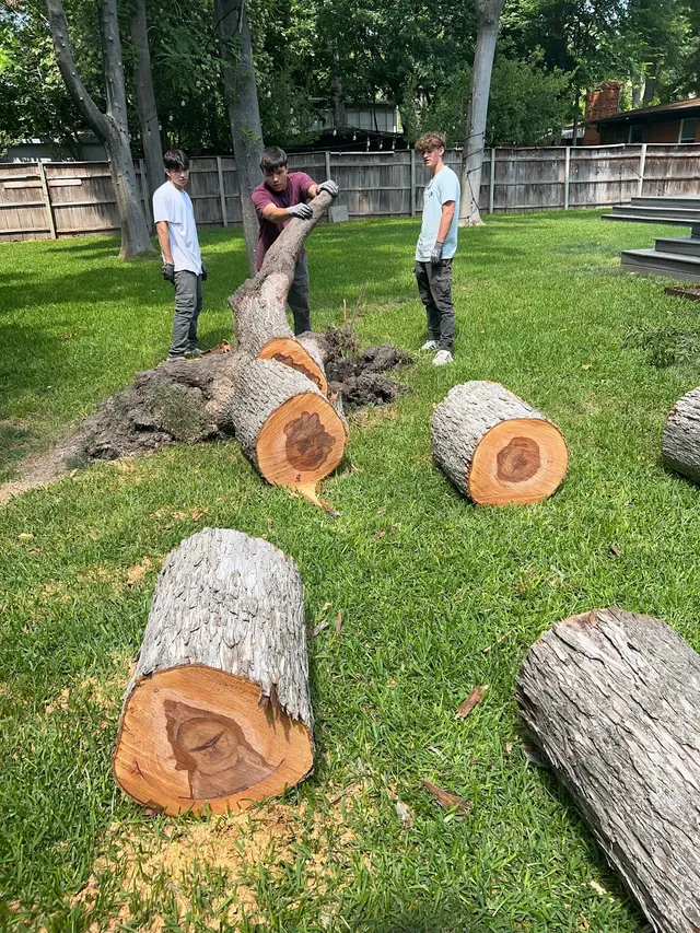 Lumberjack Tree Service — photo from the business 1