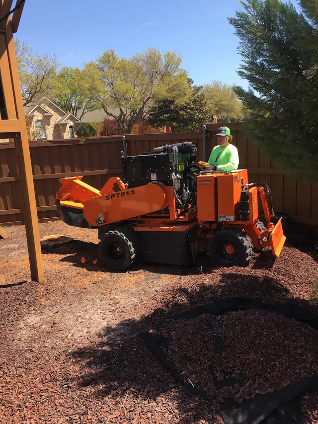 Lumberjack Tree Service — photo from the business 2