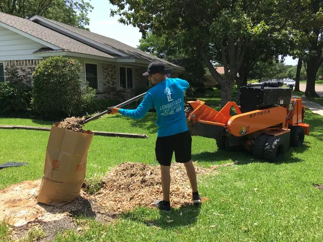 Lumberjack Tree Service — photo from the business 12
