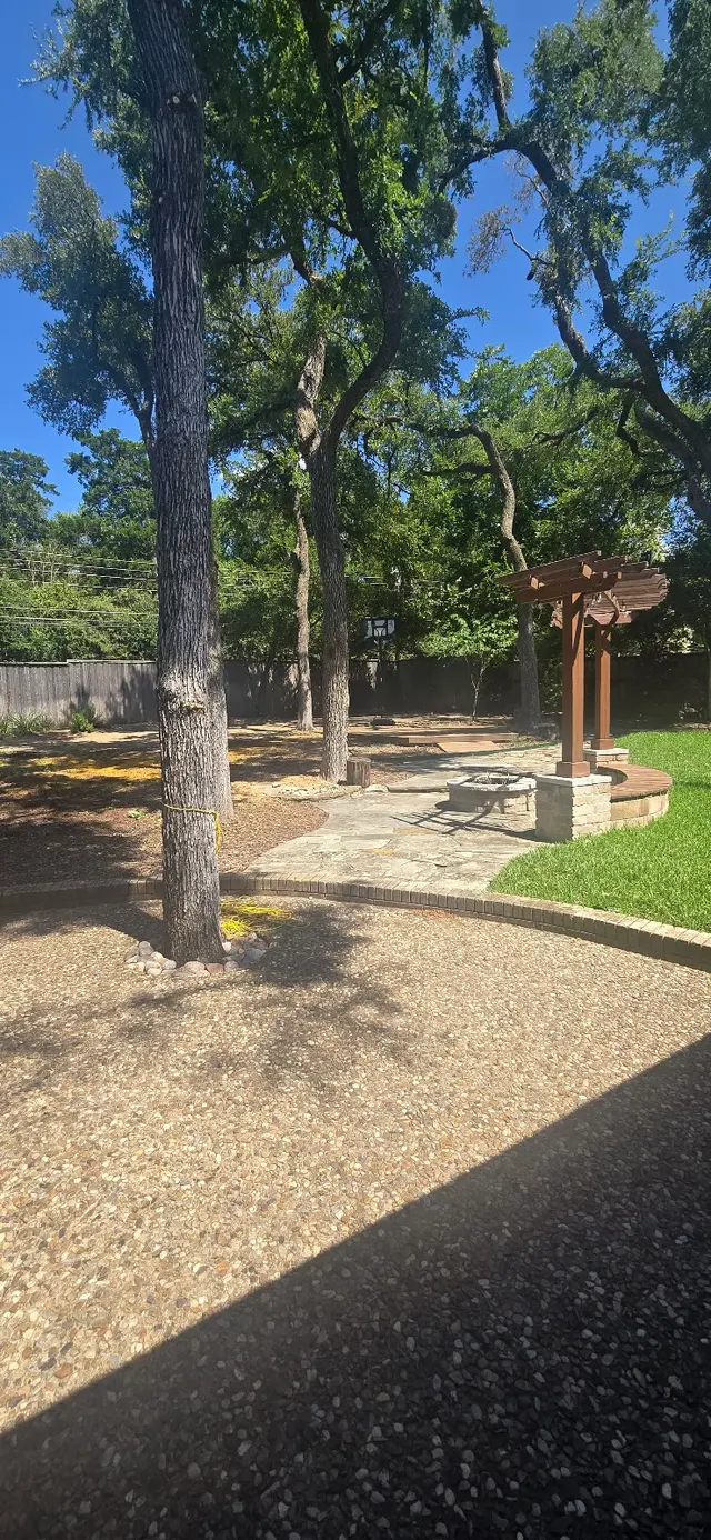 Customer photo of work by Aspen Tree Service, from Stan Smith's review