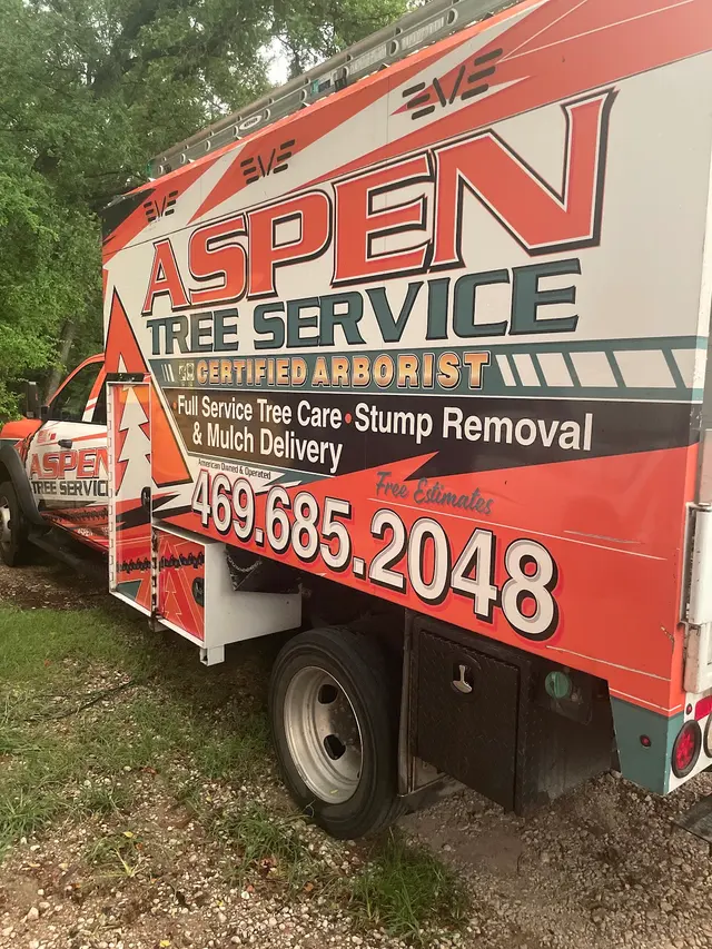 Aspen Tree Service — photo from the business 2