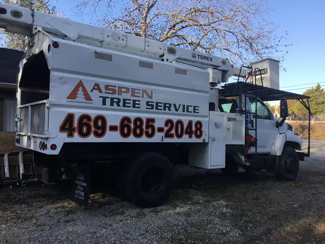 Aspen Tree Service — photo from the business 6