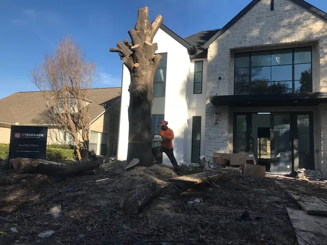 Aspen Tree Service — photo from the business 10