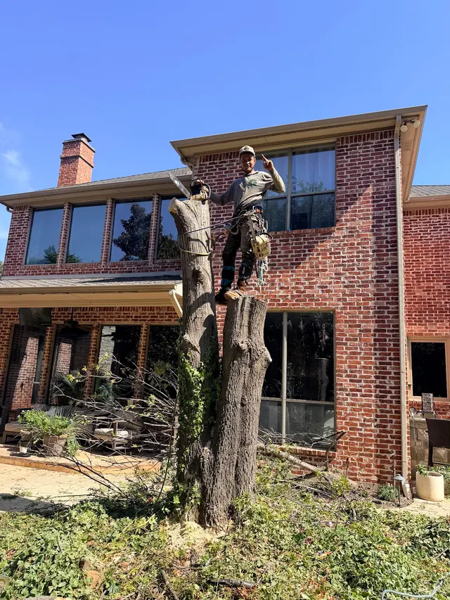 Erik's Tree & Lawn Care Services — photo from the business 4