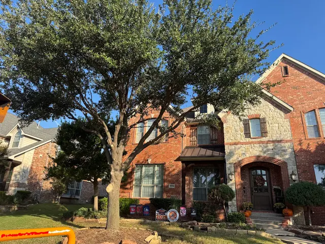 Erik's Tree & Lawn Care Services — photo from the business 8