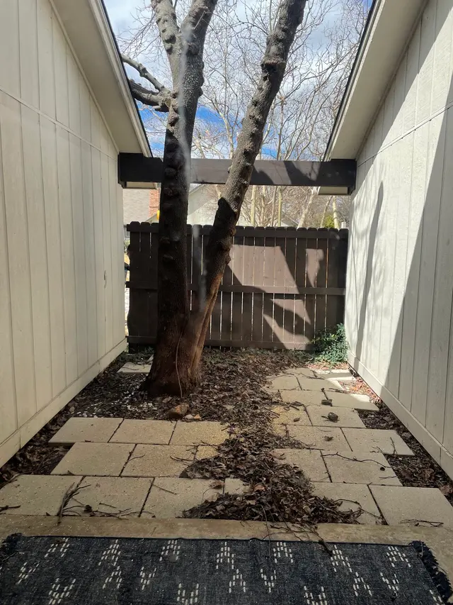 Parker Tree Service — customer photo 8
