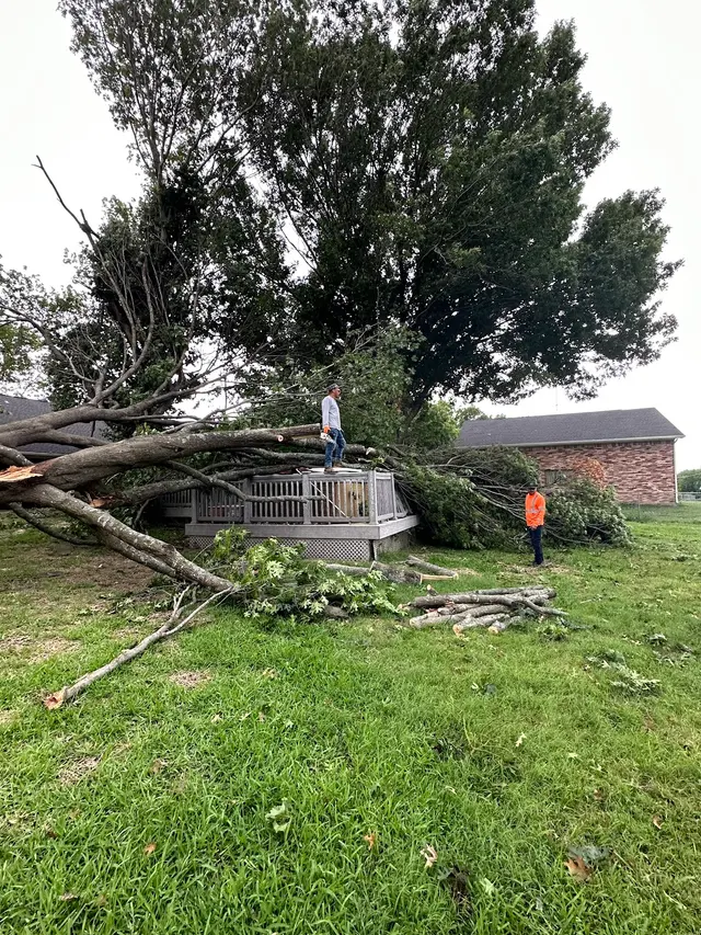 Parker Tree Service — customer photo 7