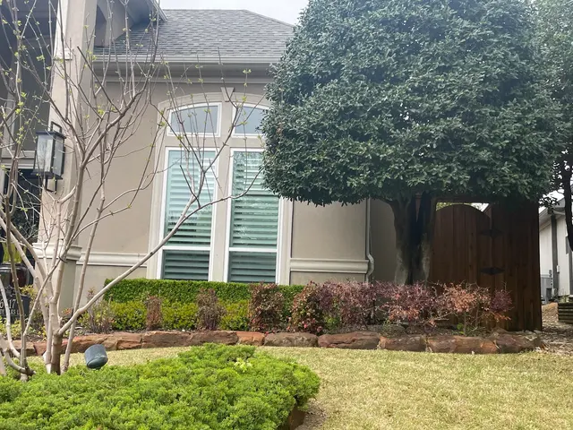 Parker Tree Service — customer photo 5