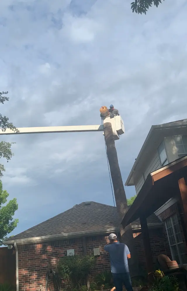 Parker Tree Service — customer photo 6