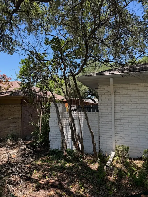 Customer photo of work by Urban Tree Services, from Max Warren's review