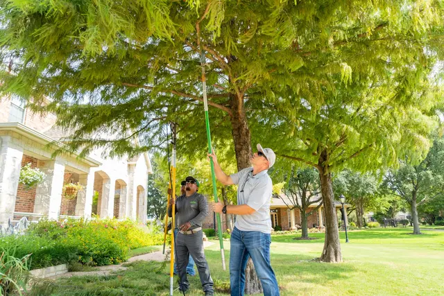 Urban Tree Services — photo from the business 5