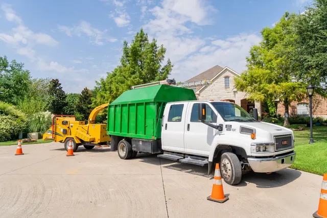 Urban Tree Services — photo from the business 7