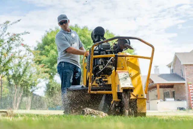 Urban Tree Services — photo from the business 3