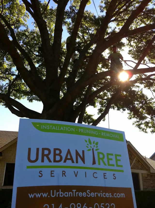 Urban Tree Services — photo from the business 10