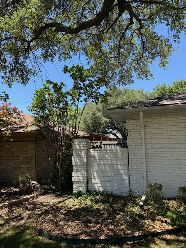Urban Tree Services — customer photo 6
