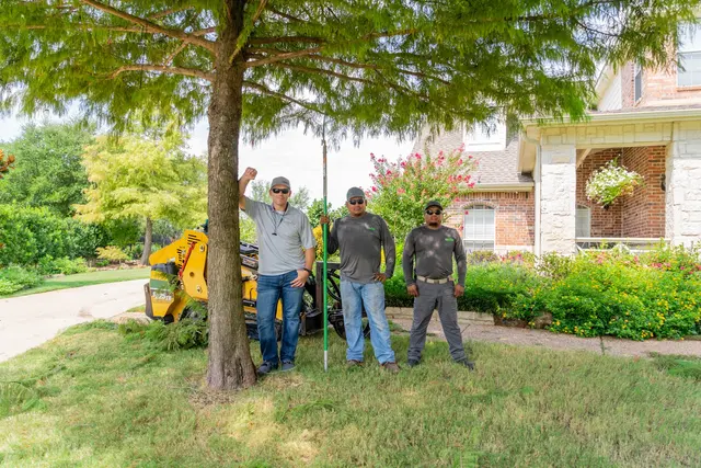 Urban Tree Services — photo from the business 4