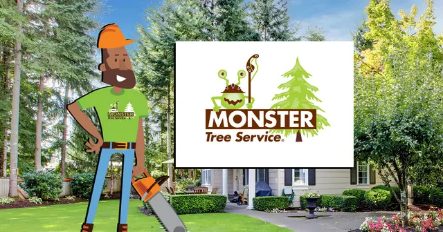 Monster Tree Service of Plano — photo from the business 1