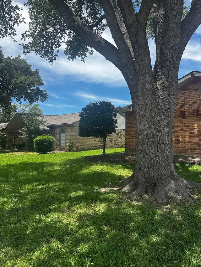 Monster Tree Service of Plano — customer photo 6
